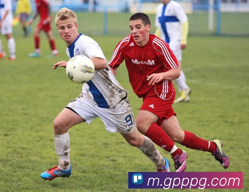 pg官网平台生态图